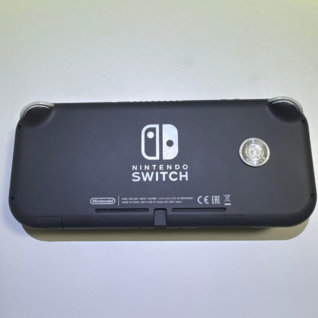Nintendo Switch Lite グレー 本体＆保護ケース(ブラック)