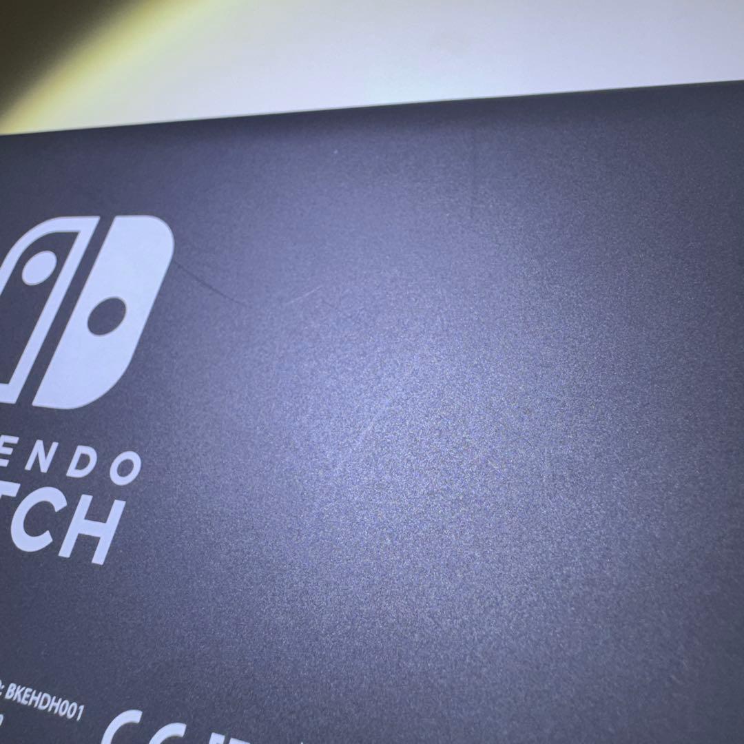 Nintendo Switch Lite グレー 本体＆保護ケース(ブラック)