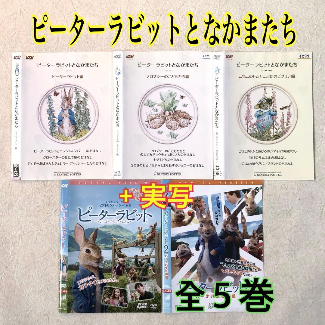 ピーターラビットとなかまたち + 実写 全５巻 DVDレンタル落ち