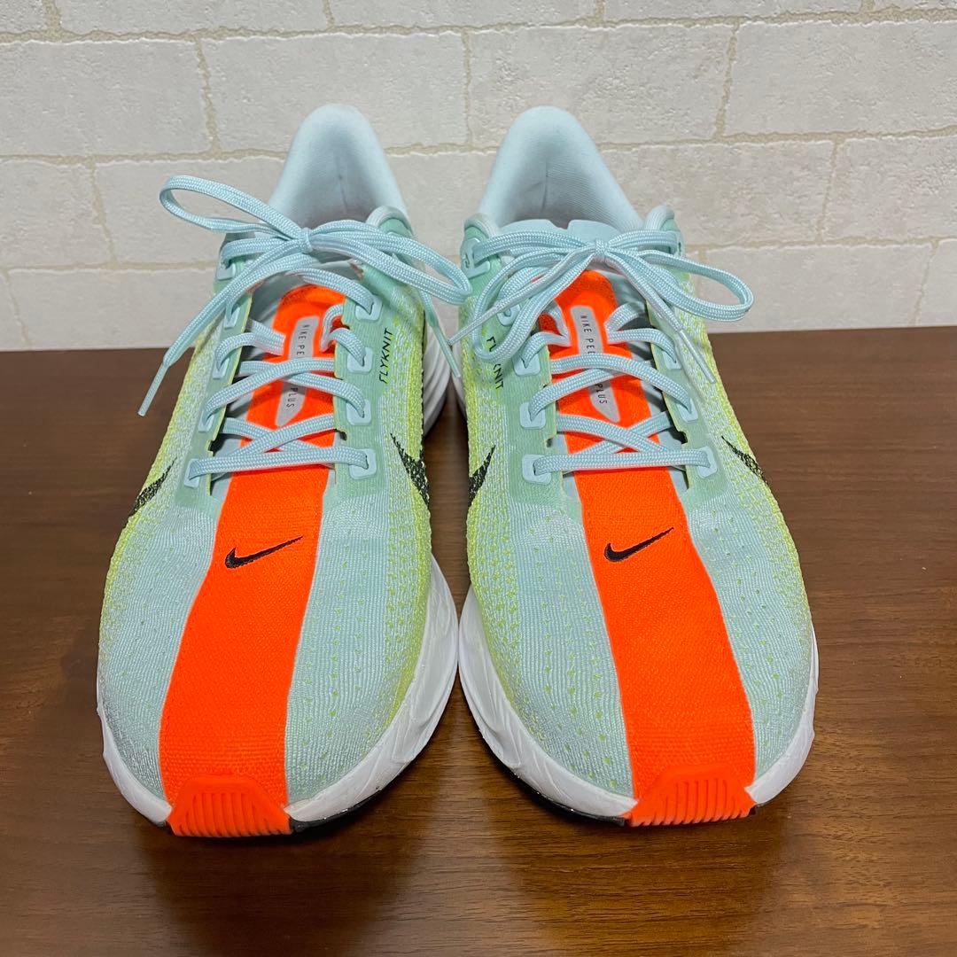 Dai【美品】ナイキ ペガサスプラス 29cm 定価22,000円