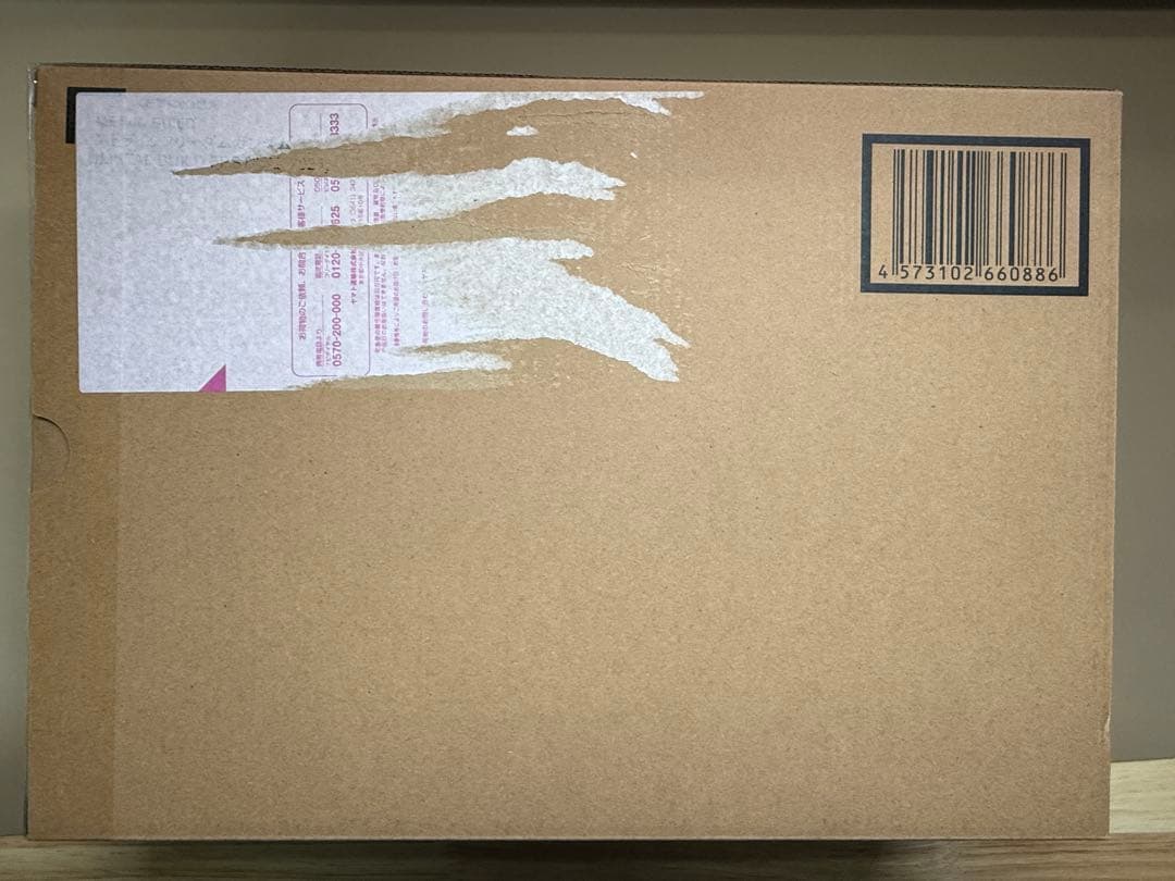 L BUILD ストライクフリーダムガンダム2024