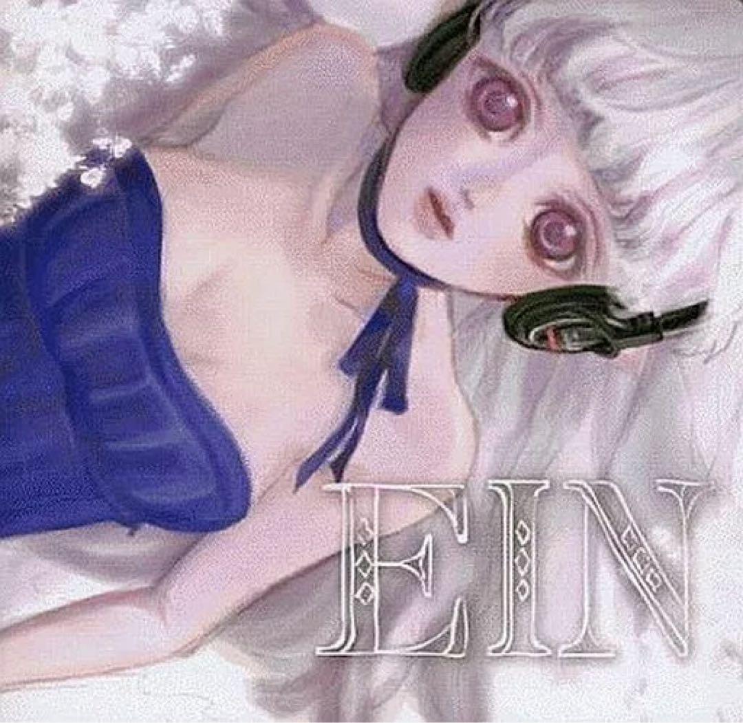 EIN / Liz Triangle(サイン入り、書き込み有り)