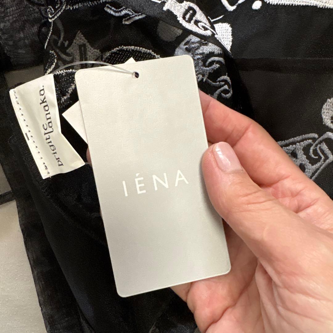 ブリジットタナカ　IENAコラボバッグ