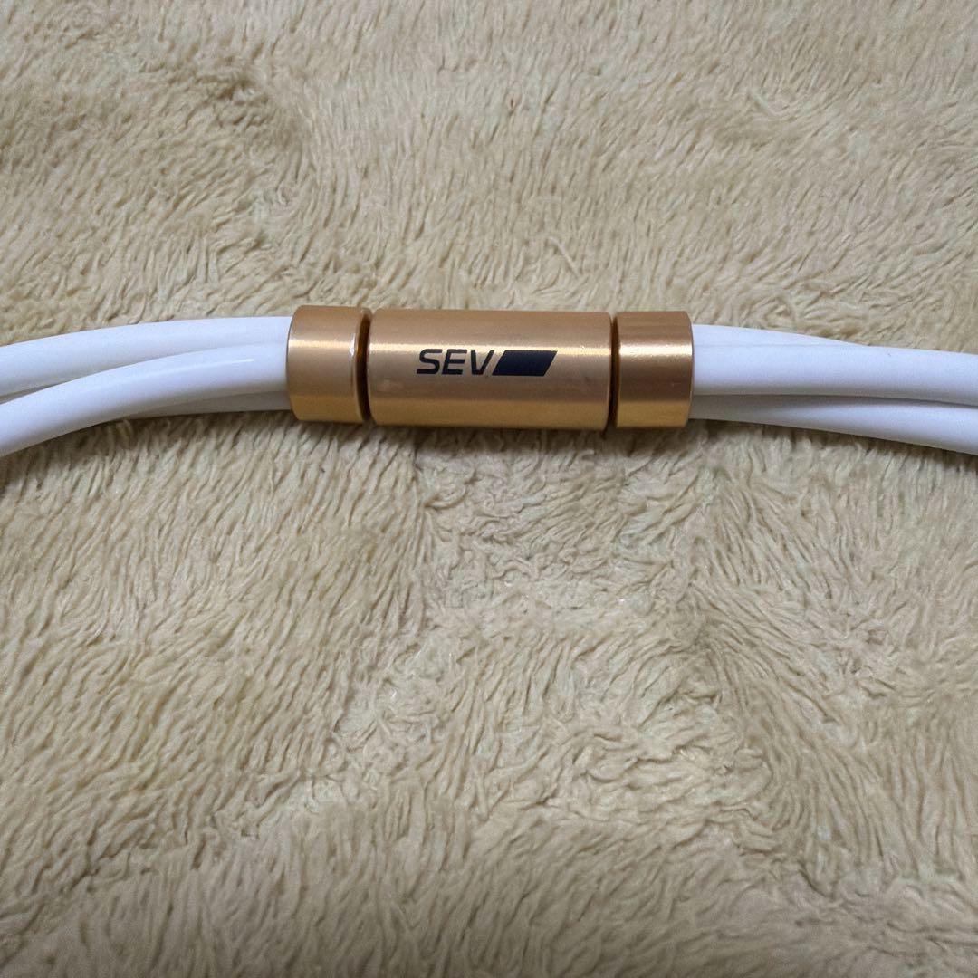 矢野SEV ルーパー　ネックレス　タイプ3G