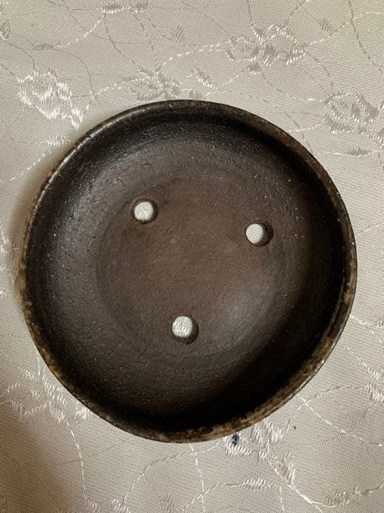 鴻陽　盆栽鉢　丸　浅め