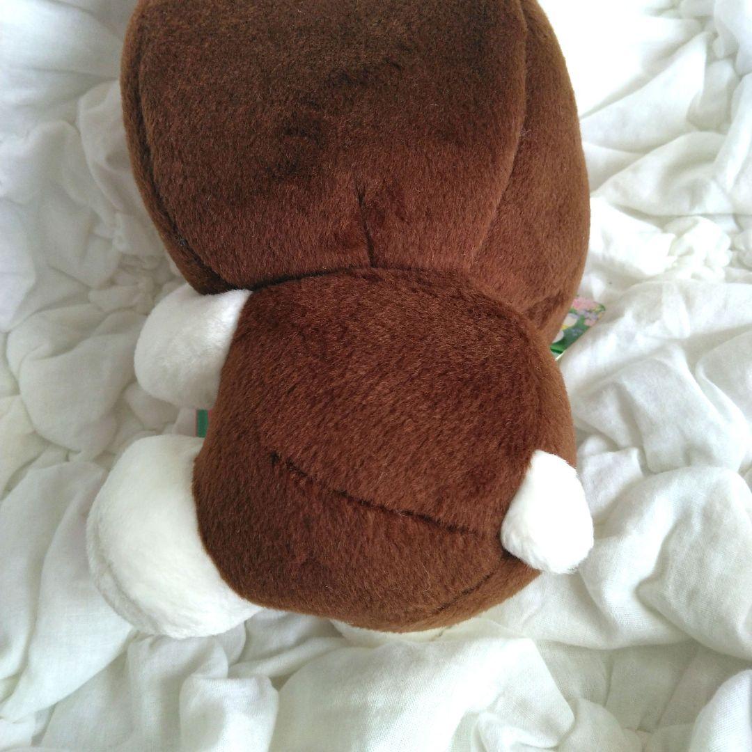 ご当地キティ　熊本　ハローキティ　ぬいぐるみ　キティ　くま　本　サンリオ