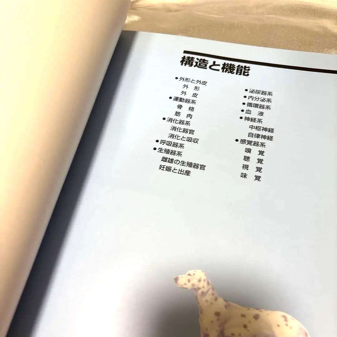 日本ケンネルカレッジペット資格最新犬種図鑑他トリマー資格本日本犬種クラブ