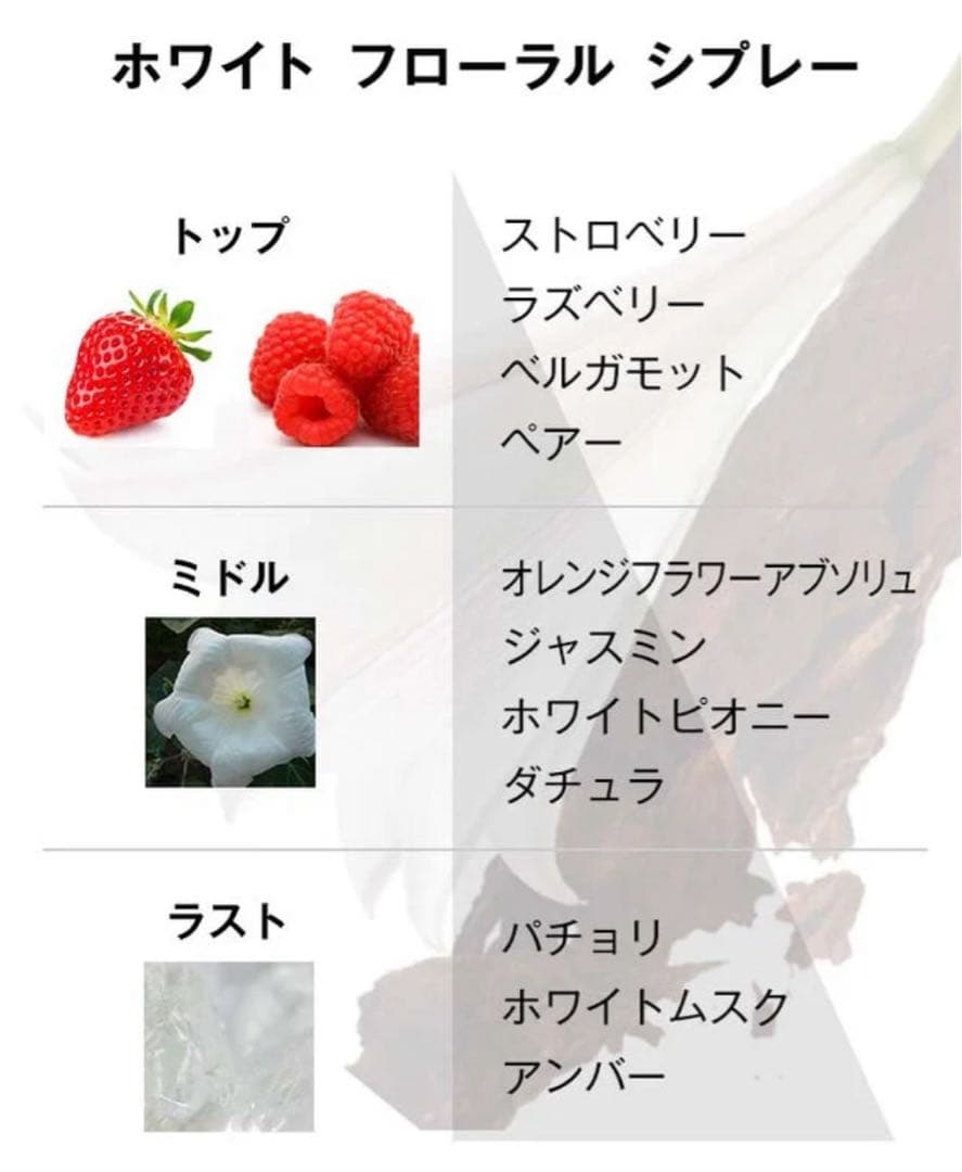 香水(女性用) YSL MON PARIS EDP 30ml