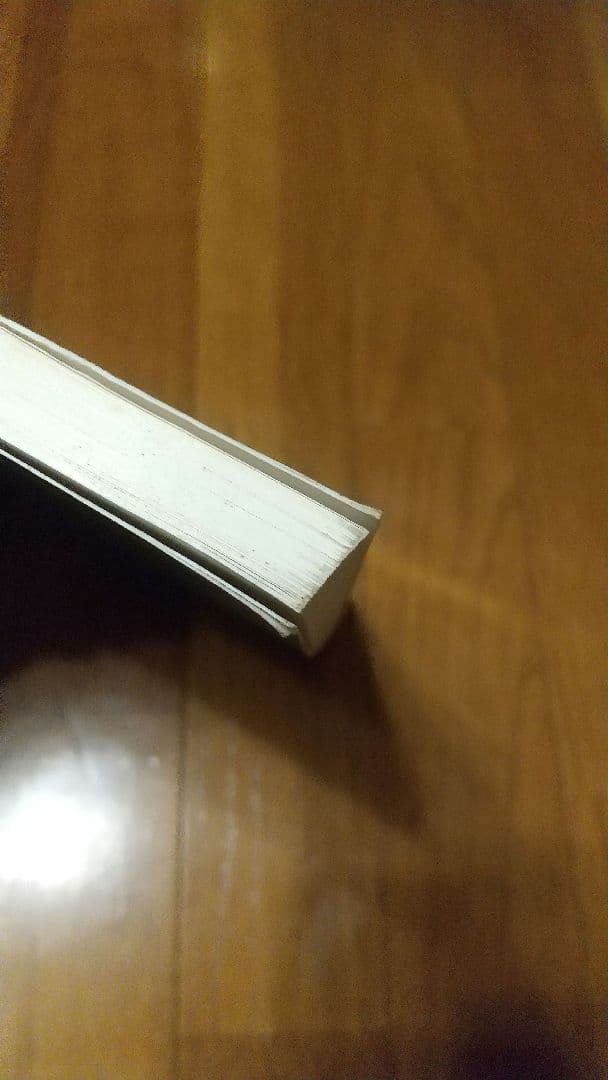 【古書】ナン・ゴールディン 写真集 THE OTHER SIDE 英語版