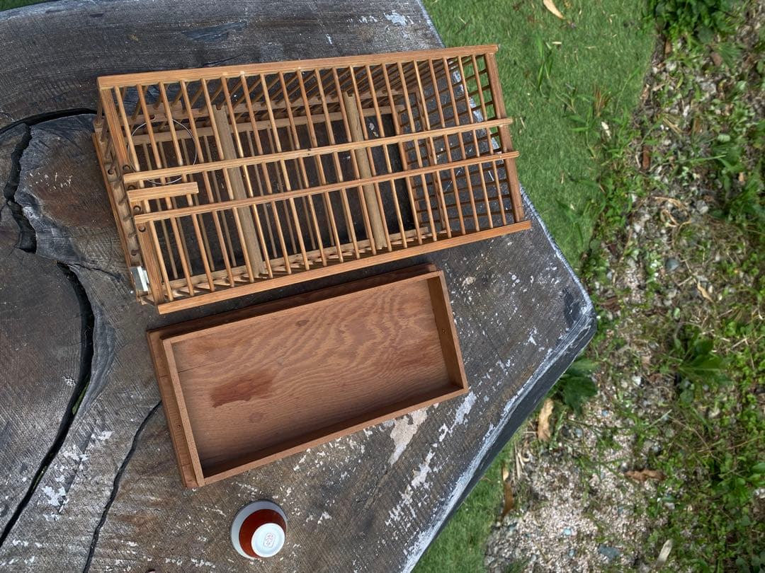 竹製鳥メジロ籠4個セット