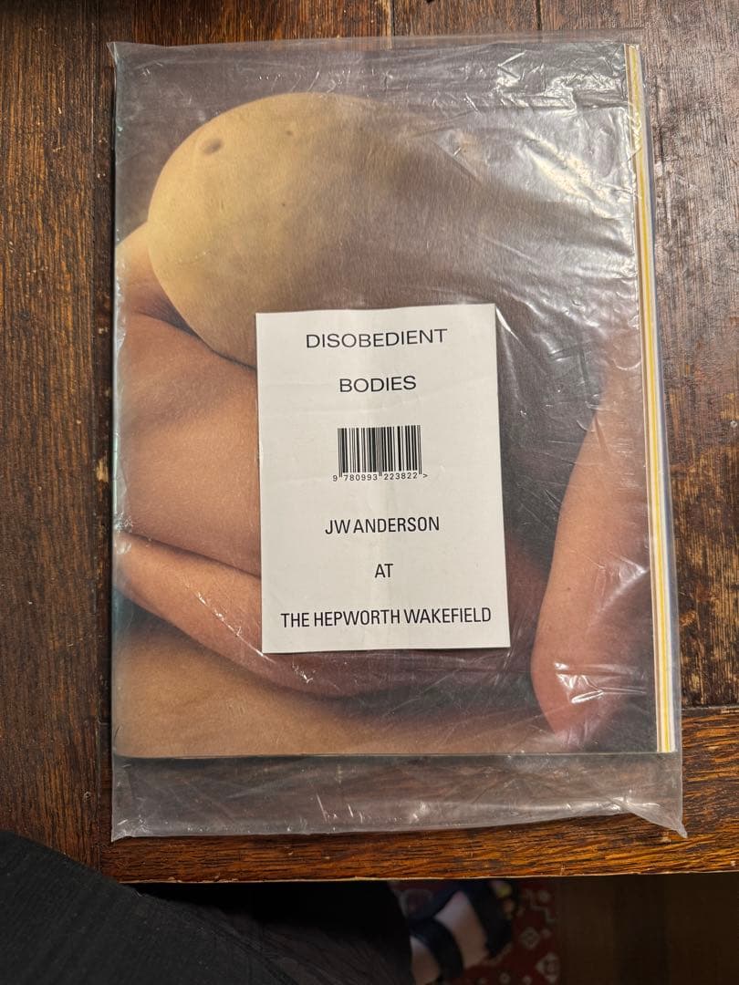 アート・デザイン・音楽 DISOBEDIENT BODIES JW ANDERSON