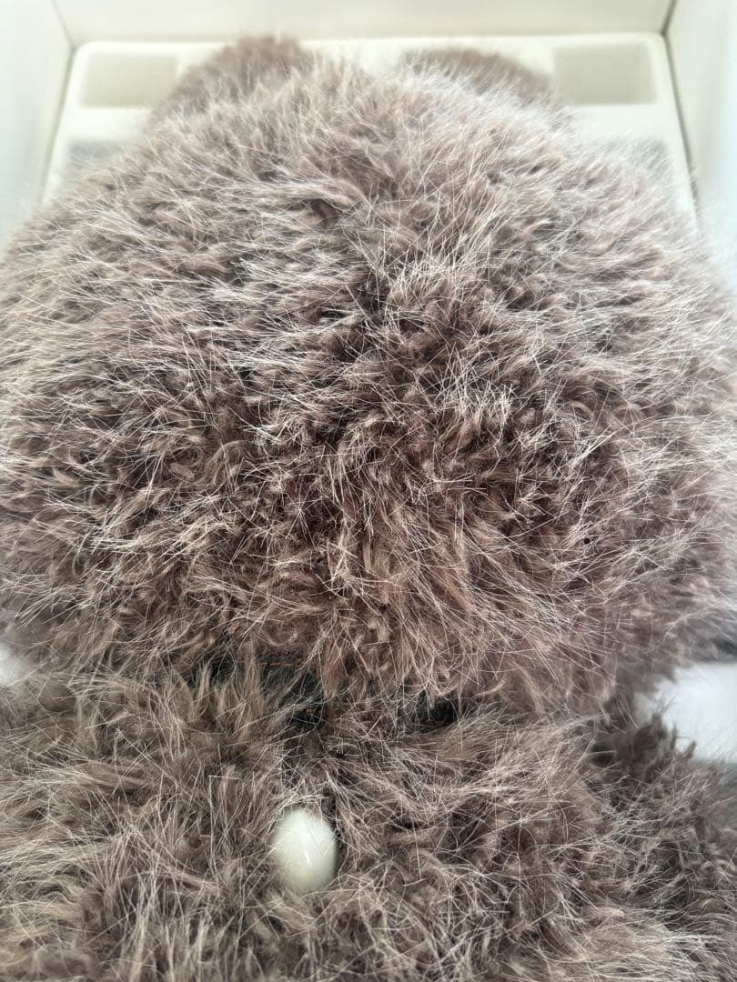 REOREO　10月25日購入