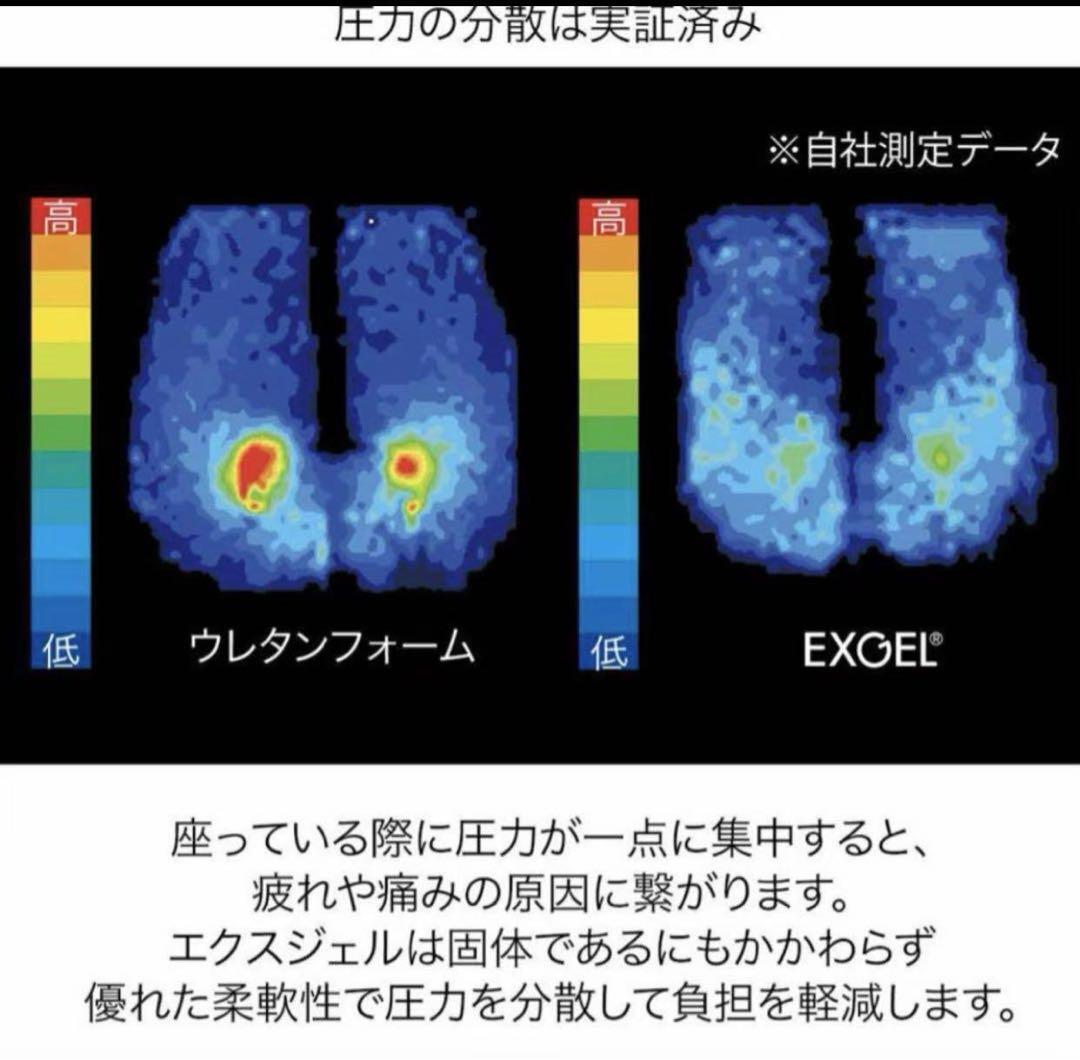 エクスジェル メーカー公式 EXGEL ハグ床座LXマイスター HUY21-CG