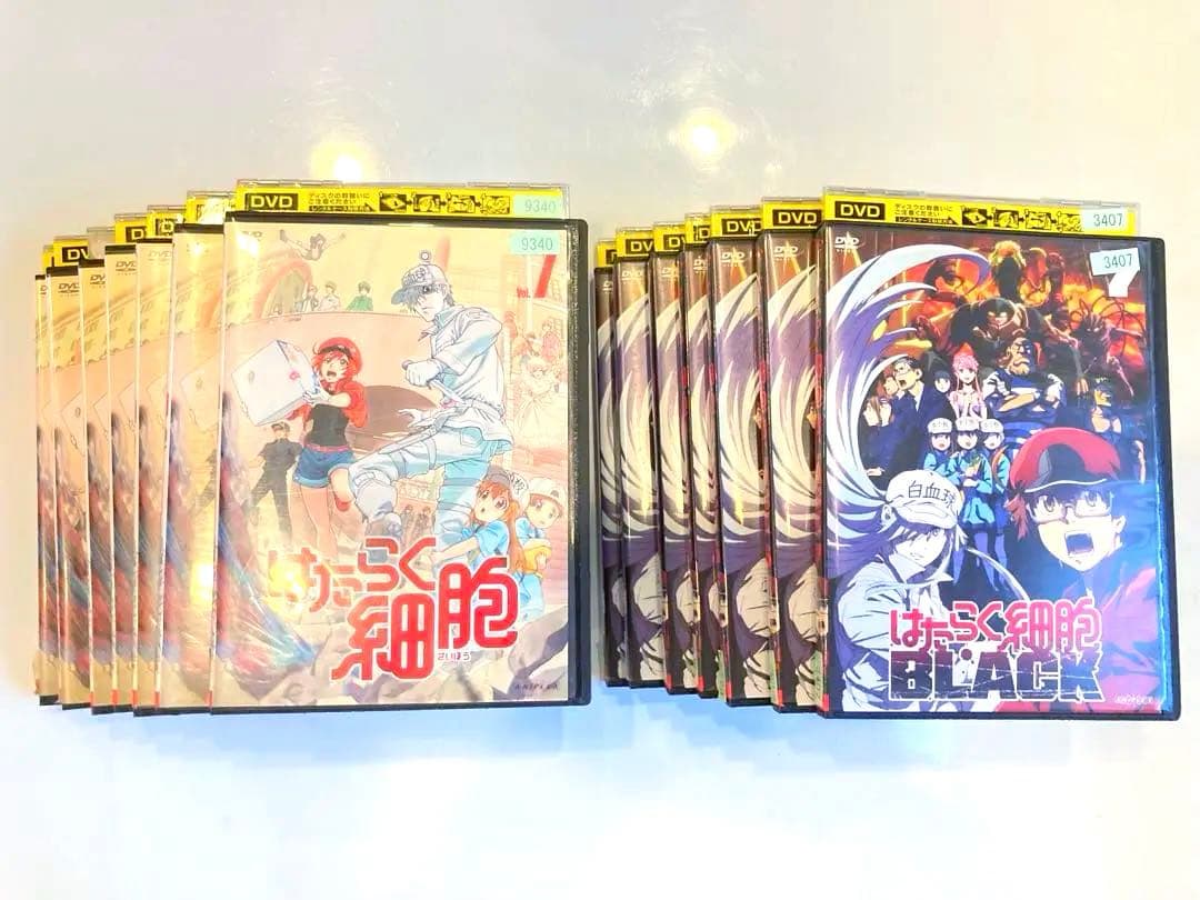 はたらく細胞& はたらく細胞BLACK DVD 全14巻セット