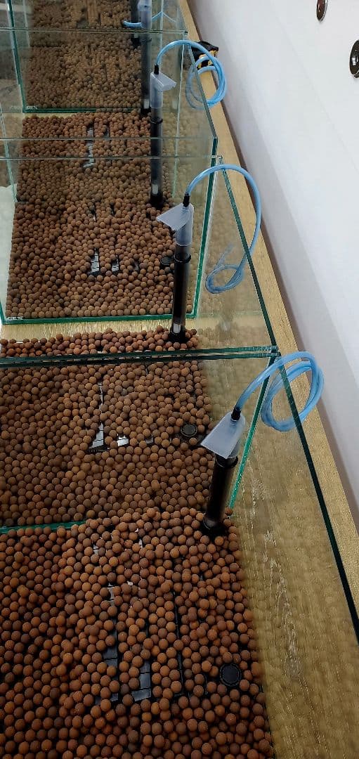 ぐんぐん玉 × ビーシュリンプ飼育用（磁性かんらん岩ボールメダカや金魚にも最適