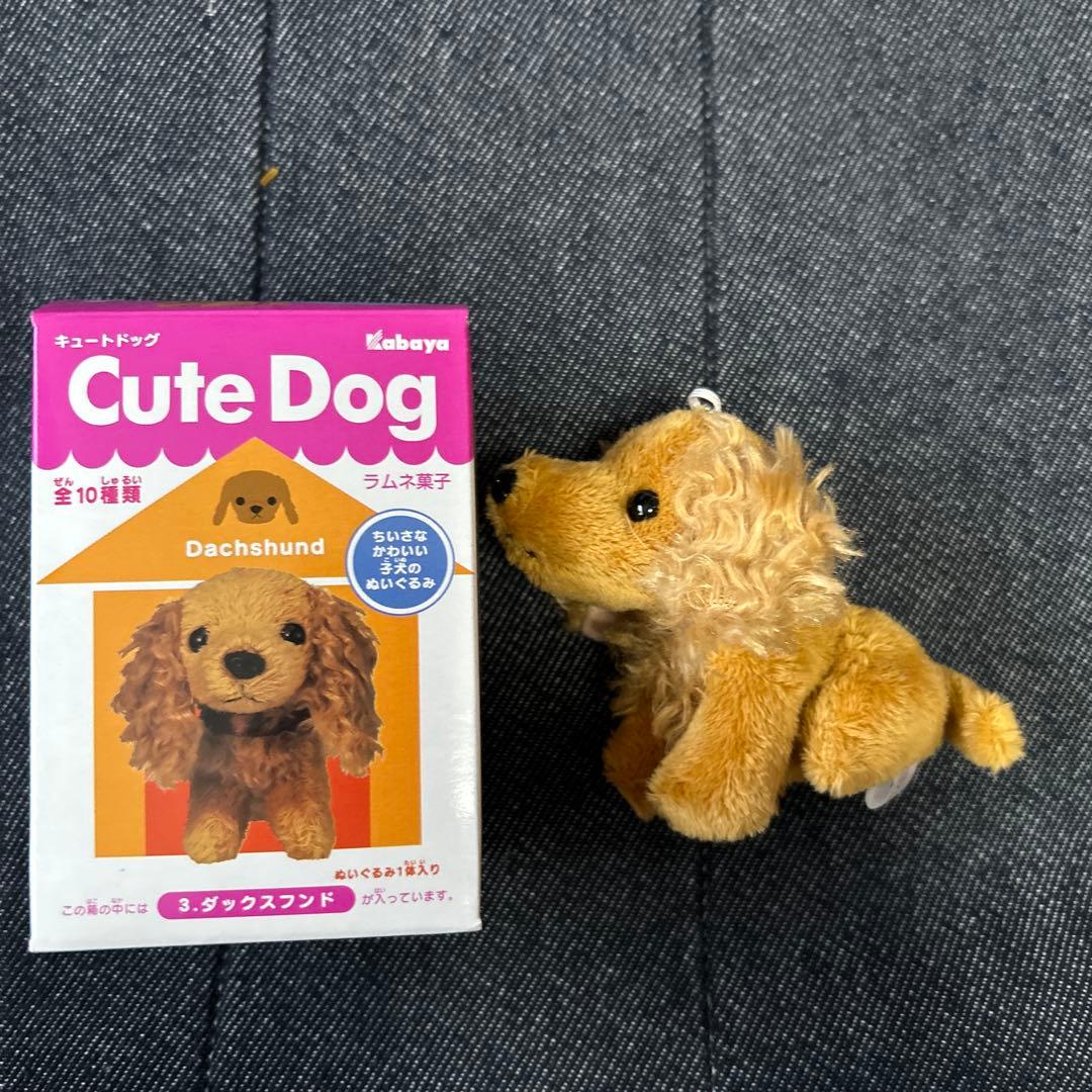 カバヤ 子犬ぬいぐるみ Cute Dog ボールチェーンマスコット 8点セット