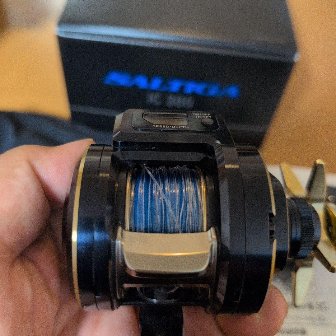 Daiwa SALTIGA　ダイワ　ソルティガ IC 300 ベイトリール