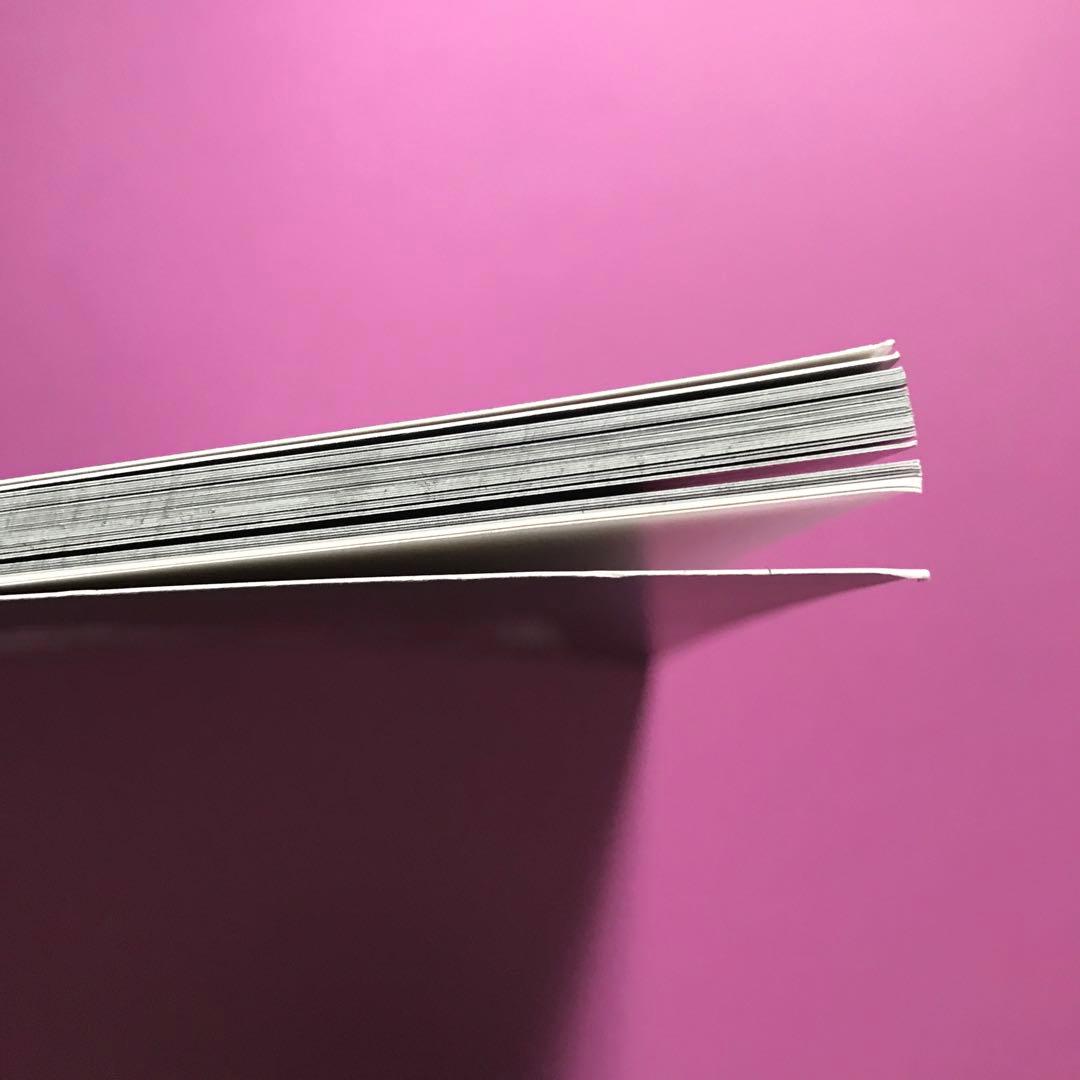 洋書 The Acceptable Face by Nick Sinclair