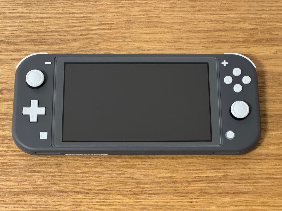 【美品/おまけ付】Nintendo Switch Lite グレー 本体