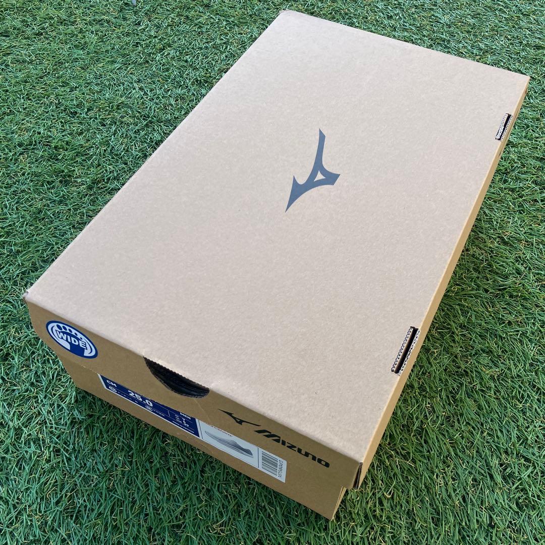 ミズノ ウエーブリベリオンフラッシュ2 WIDEランニングシューズ 25.0cm