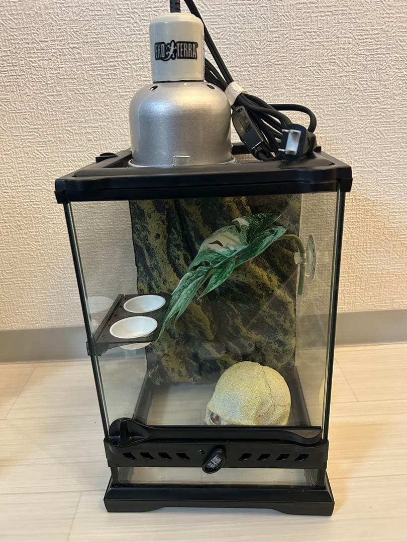 爬虫類飼育用ケース