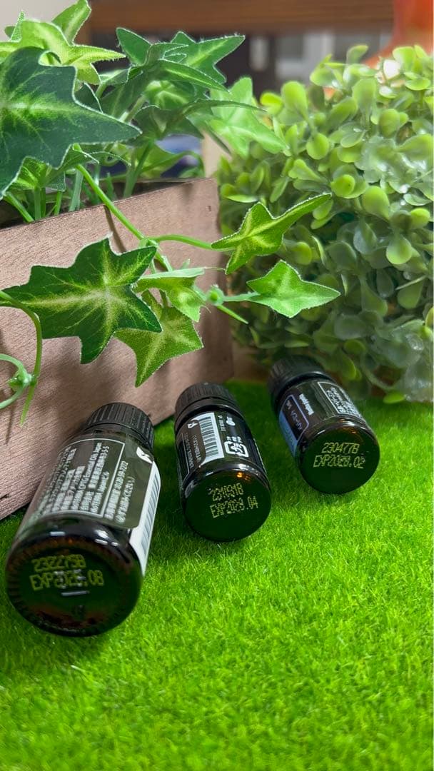 【SALE】新品　ドテラ　フランキンセンス　ペパーミント　バランス