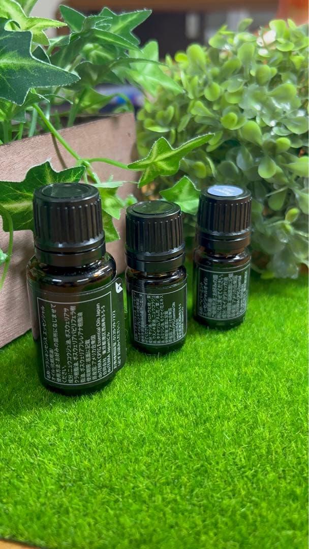 【SALE】新品　ドテラ　フランキンセンス　ペパーミント　バランス