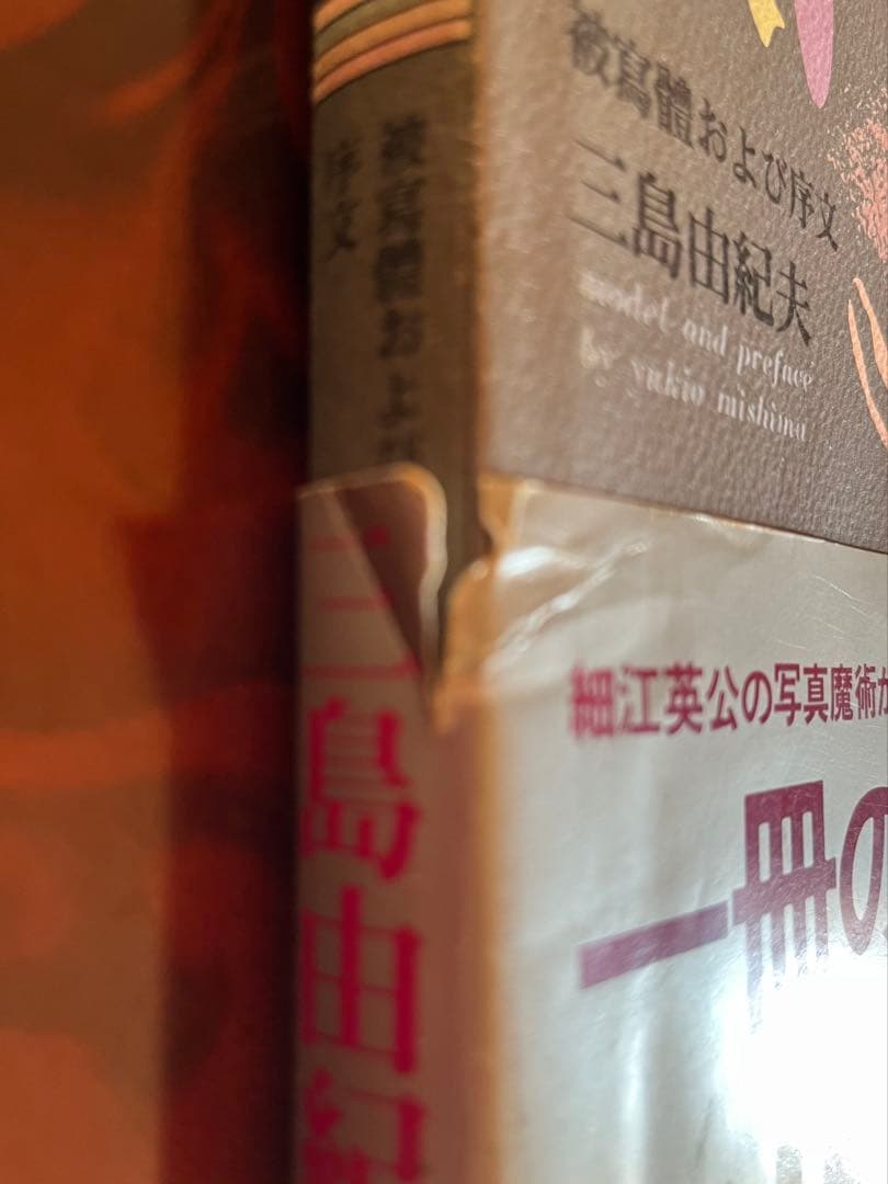 薔薇刑 新版 細江英公寫眞集