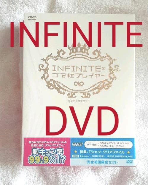 INFINITE DVD ゴマ粒プレーヤー sesame player