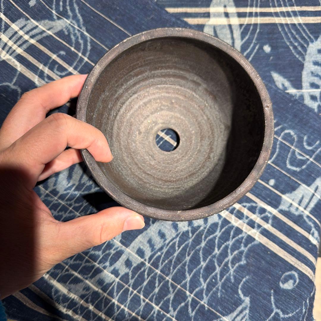 細川 政己 spicy gem コラボ鉢　yellgreen 希少　中古