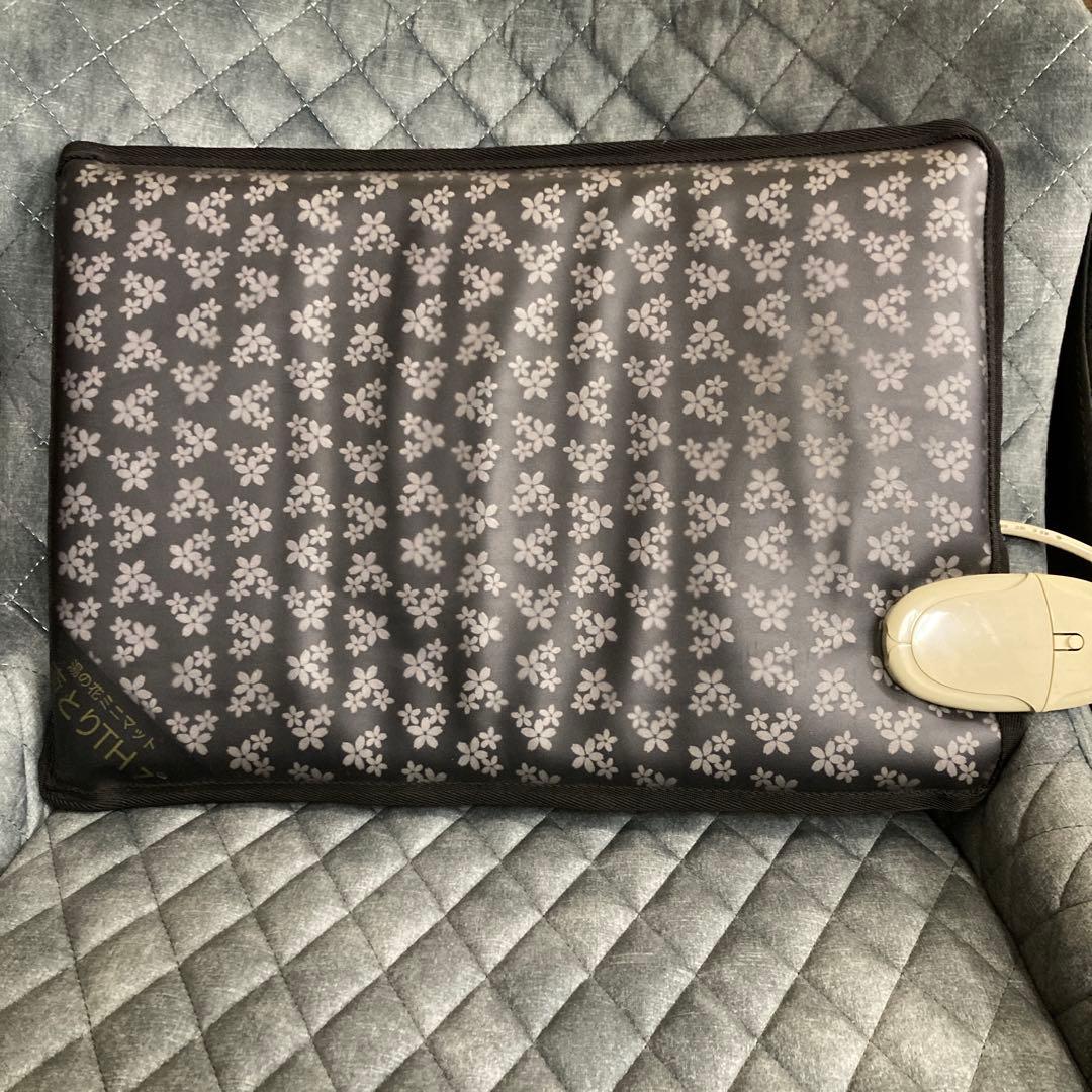 湯の花 テラヘルツ 岩盤マット 癒とり