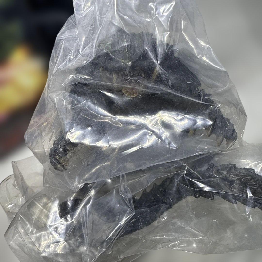 アートスピリッツ　トラウマガメラ　激造シリーズ　ガメラ