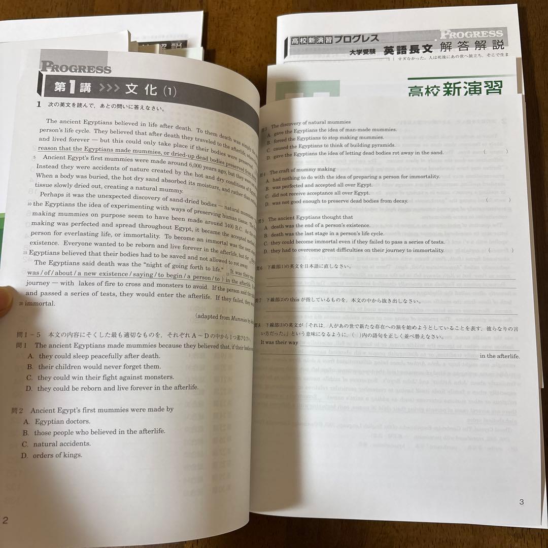 新演習 新品未使用品 高校 プログレス 英語長文I 英文法 構文
