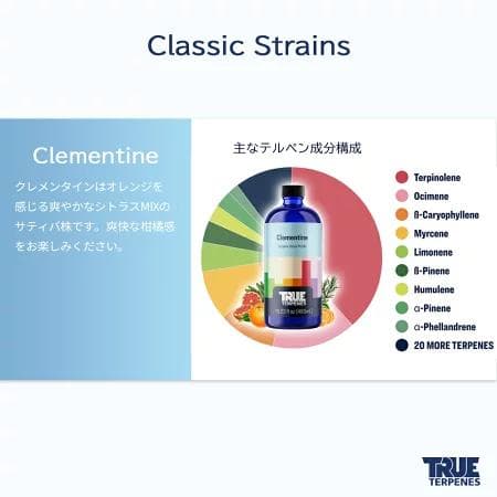 TRUE テルペン 510 CBD CBN CBG 10ml クレメンタイン