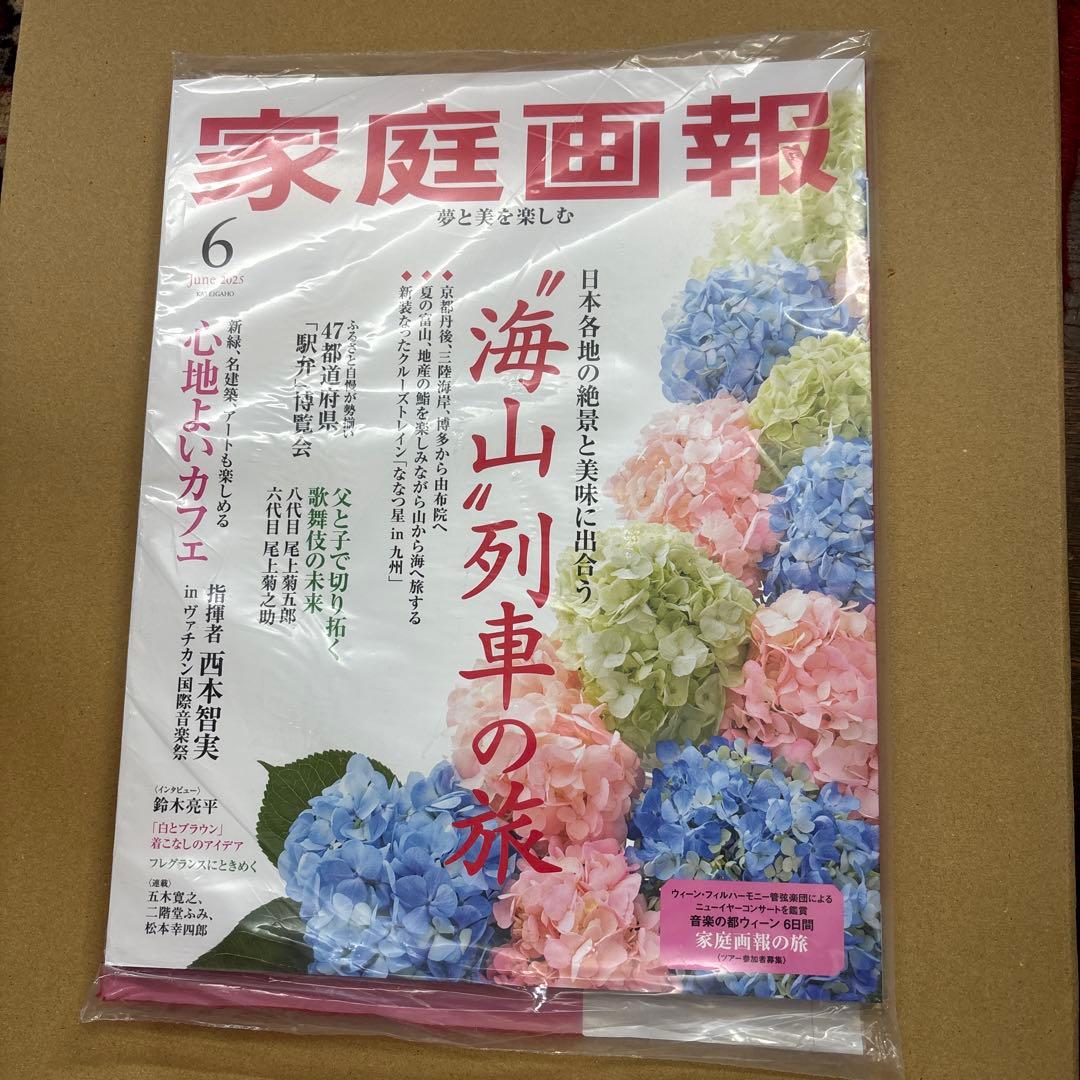 未開封　家庭画報 2025年1-10月号10冊セット