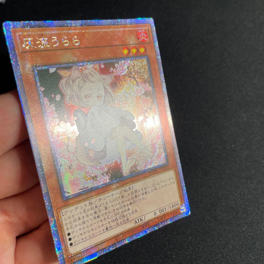 遊戯王　灰流うらら　アジア版　25thシークレット