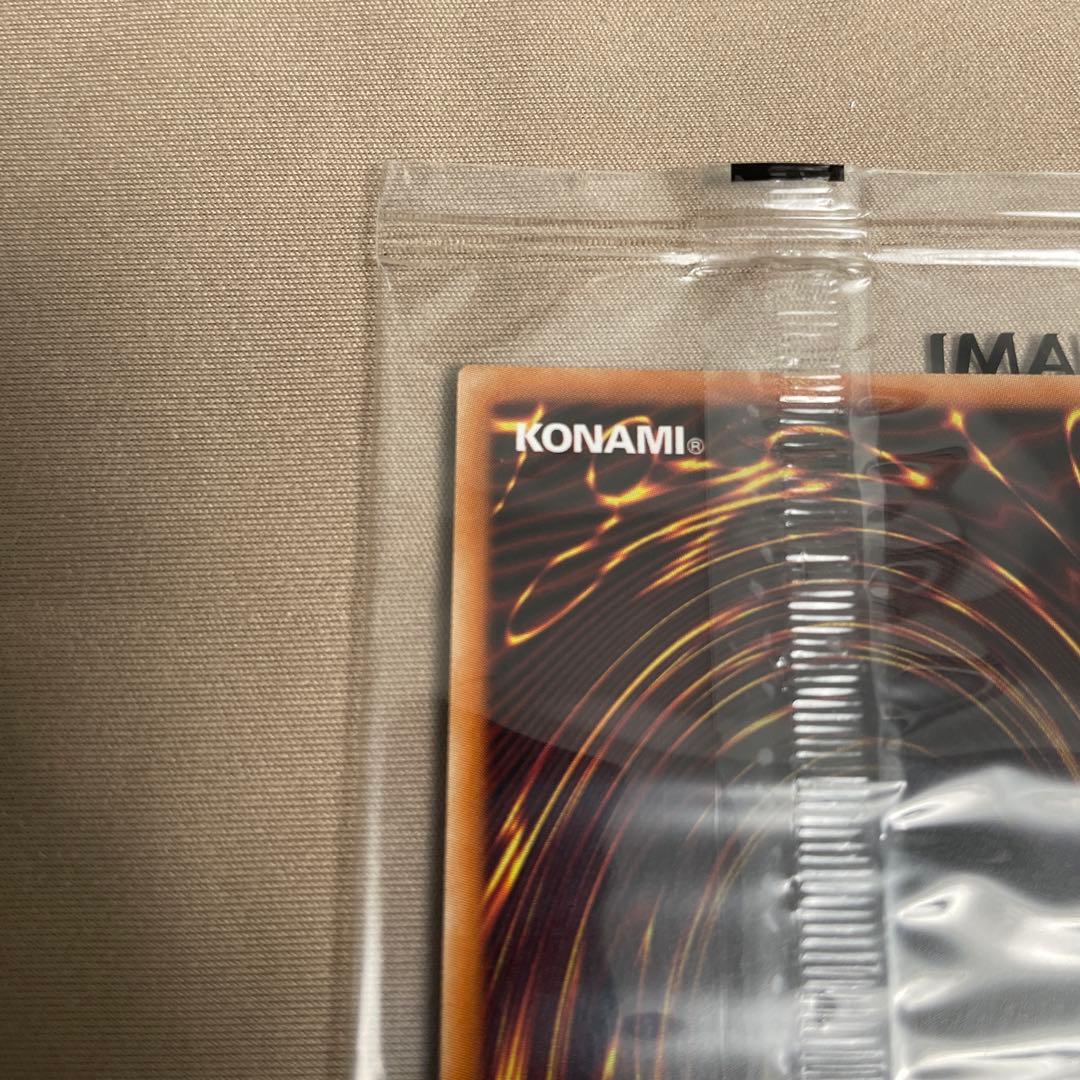 ホーリーエルフ　遊戯王　ブルーシークレット　未開封