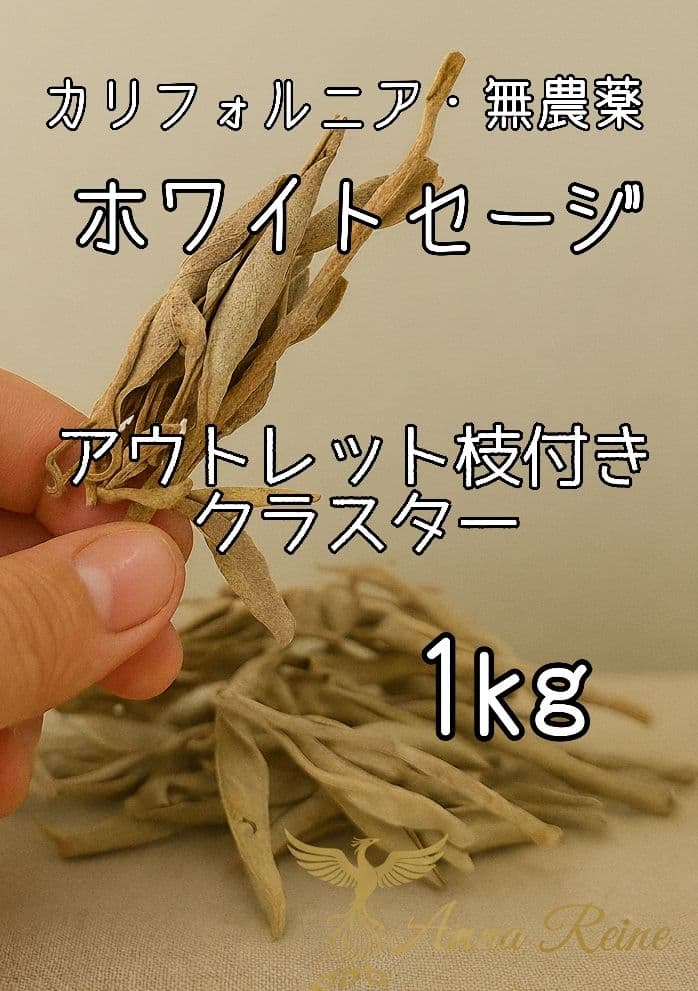激安価格☆無農薬アウトレットホワイトセージ1KG箱入りお香浄化業務用価額