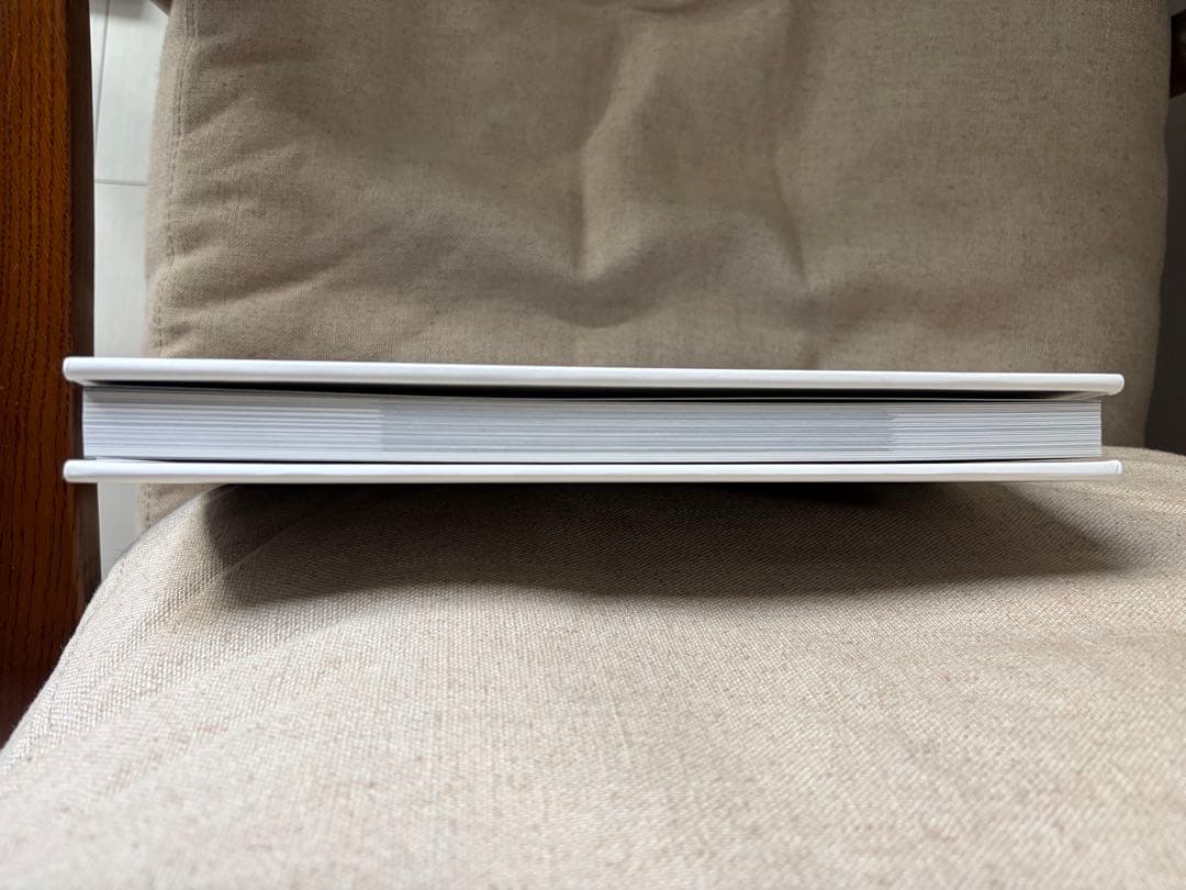 アート・デザイン・音楽 Ryan Mcginley you and i