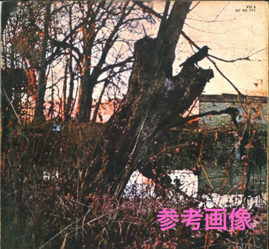 帽子 Supreme Pigment Print Script Logo 6Panel