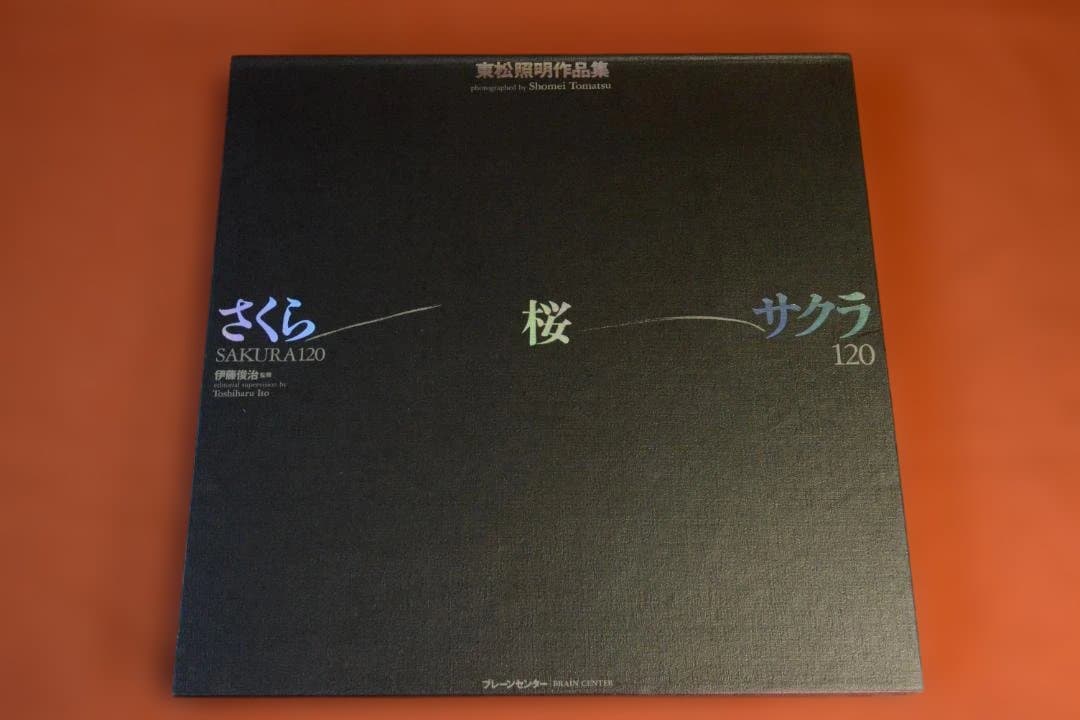 【さくら・桜・サクラ　120 ：東松照明】★新品・未読品・美本