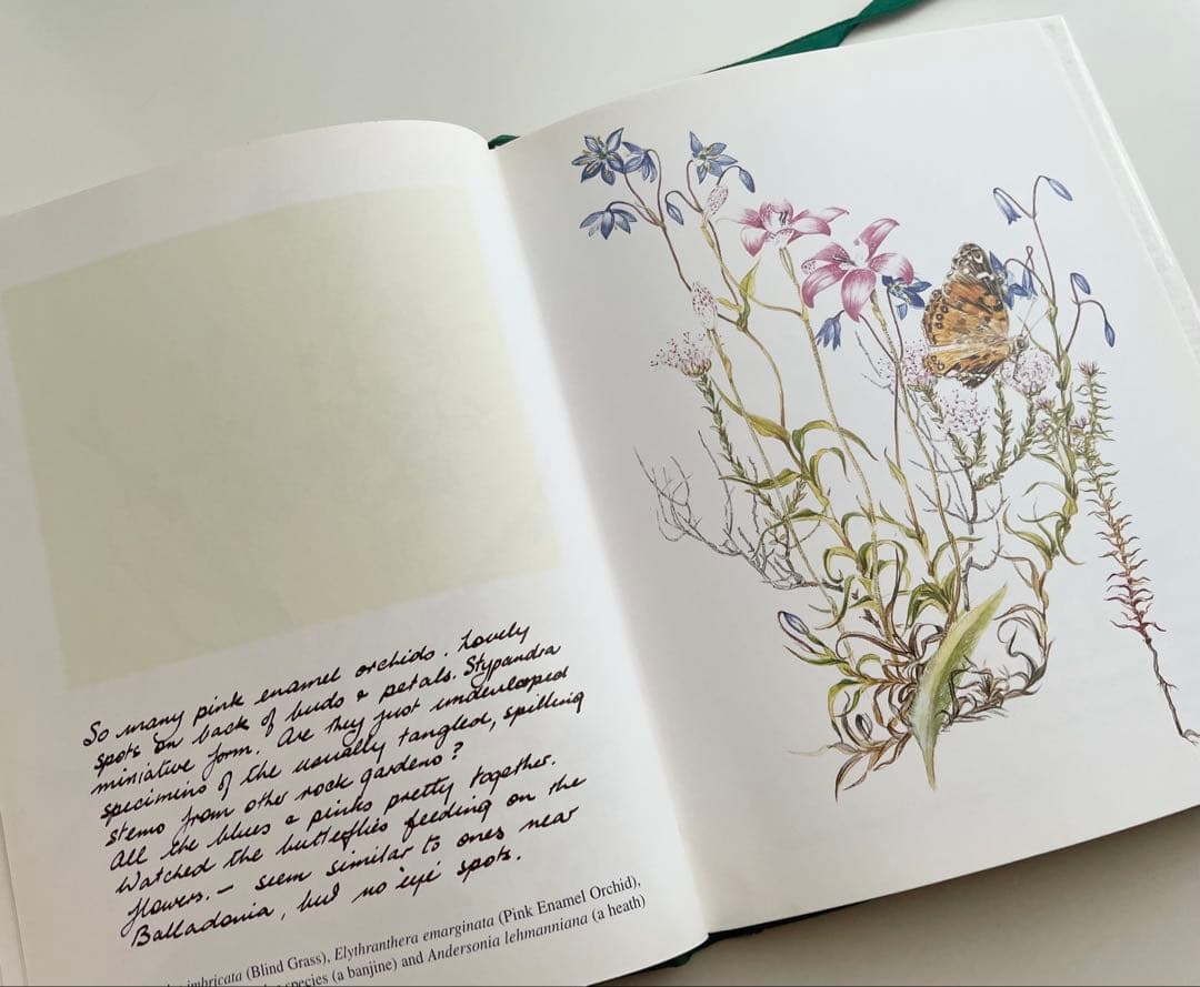 海外購入 洋書 Wildflowers in Watercolour＊インテリア