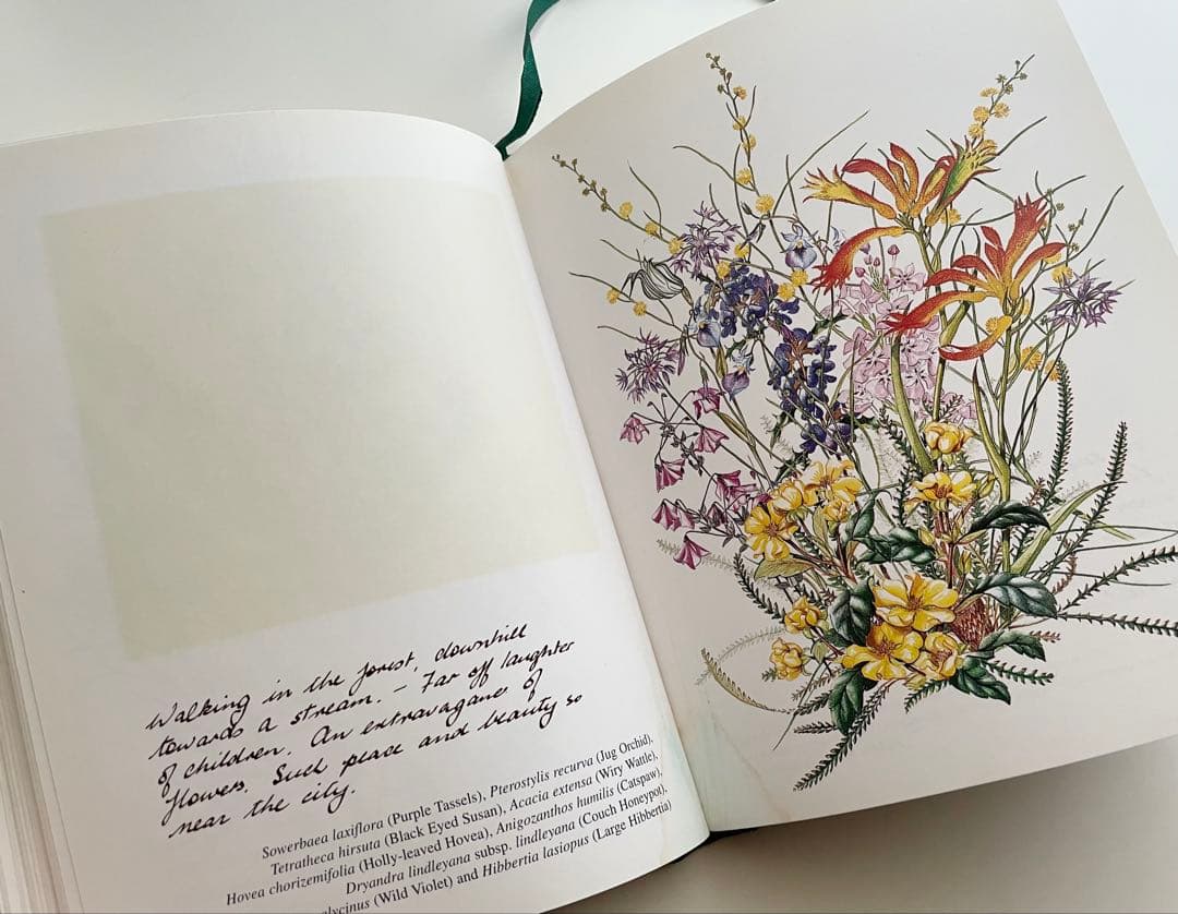 海外購入 洋書 Wildflowers in Watercolour＊インテリア