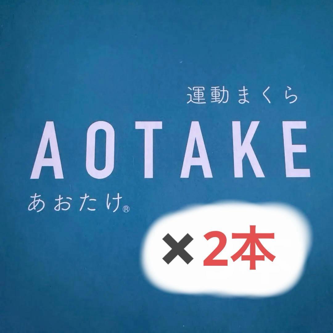 【新品・未使用】全健会 あおたけ運動枕　2本セット
