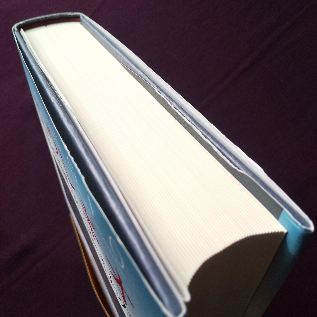 エウレギオ 原経済圏と河のヨーロッパ　渡辺尚