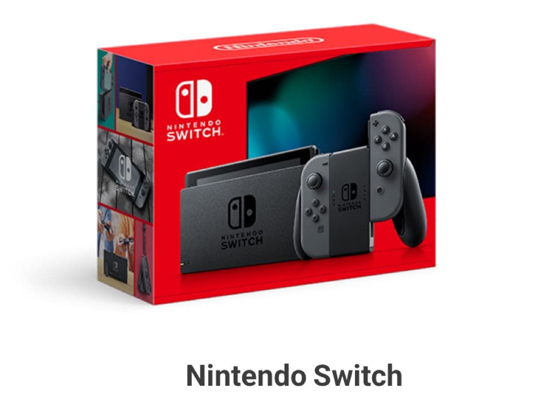 Nintendo Switch 本体(純正付属品完備)＋ケース