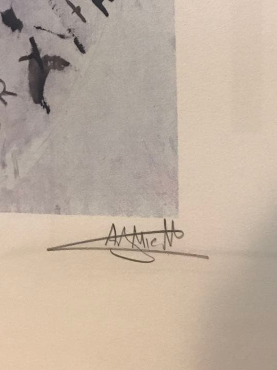 【激レア】【特別額装】アントニーミカレフ「I Break Everything」