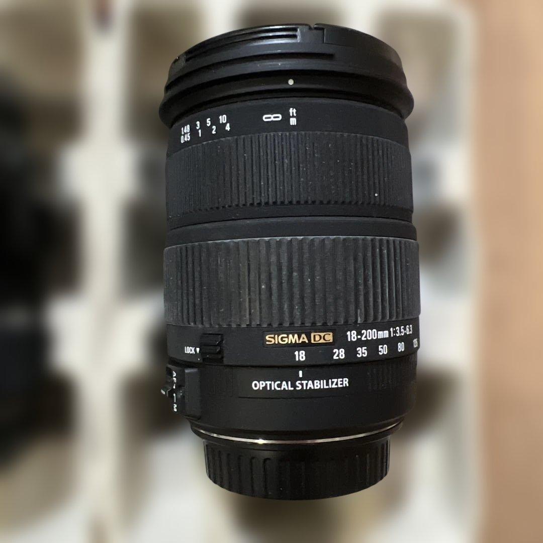 【ジャンク品】Canon EOS 40D 本体 レンズ3本（シグマ1本）本2冊