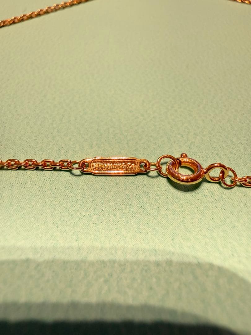 Tiffany & Co. ハードウェア　細長リンクネックレス　PG