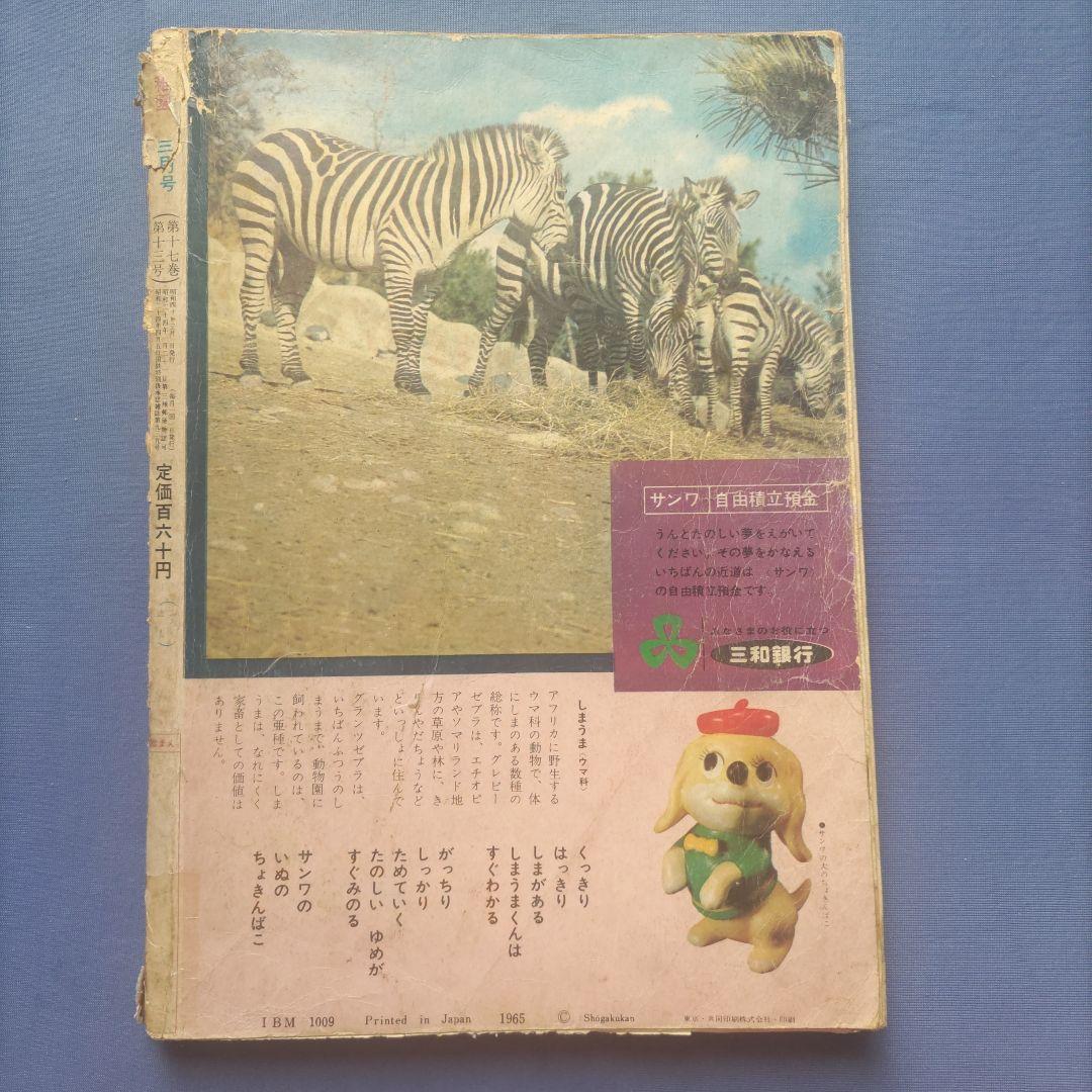 超希少　昭和レトロ　『幼稚園』　小学館　昭和40年3月